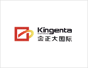 金正大国际