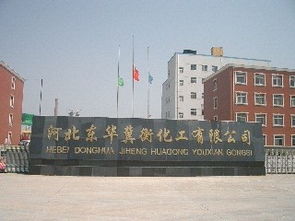 河北东华冀衡化工有限公司